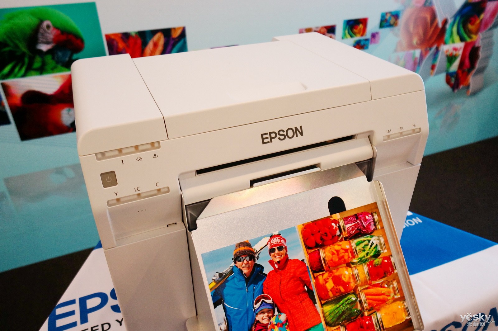 epson surelab d700