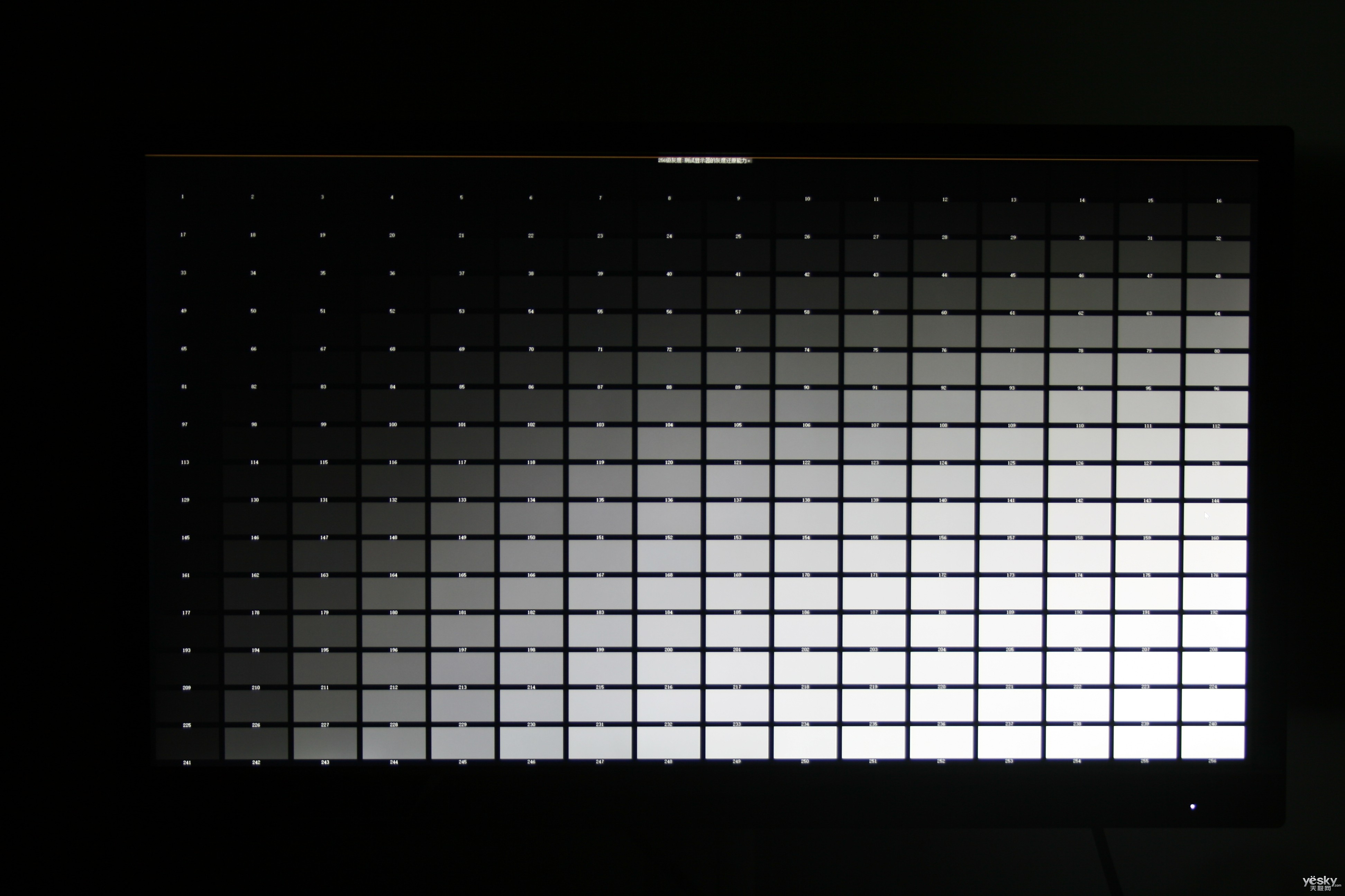 256位黑白色阶测试