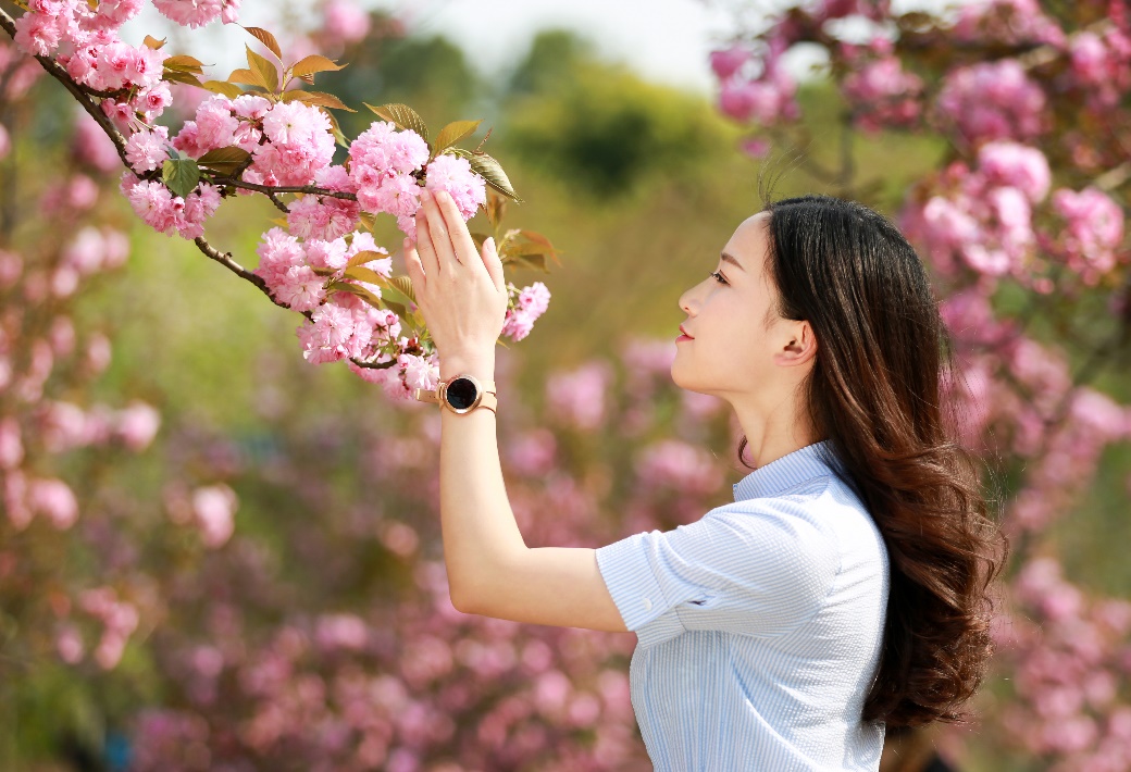 樱花树下的美女名句图片