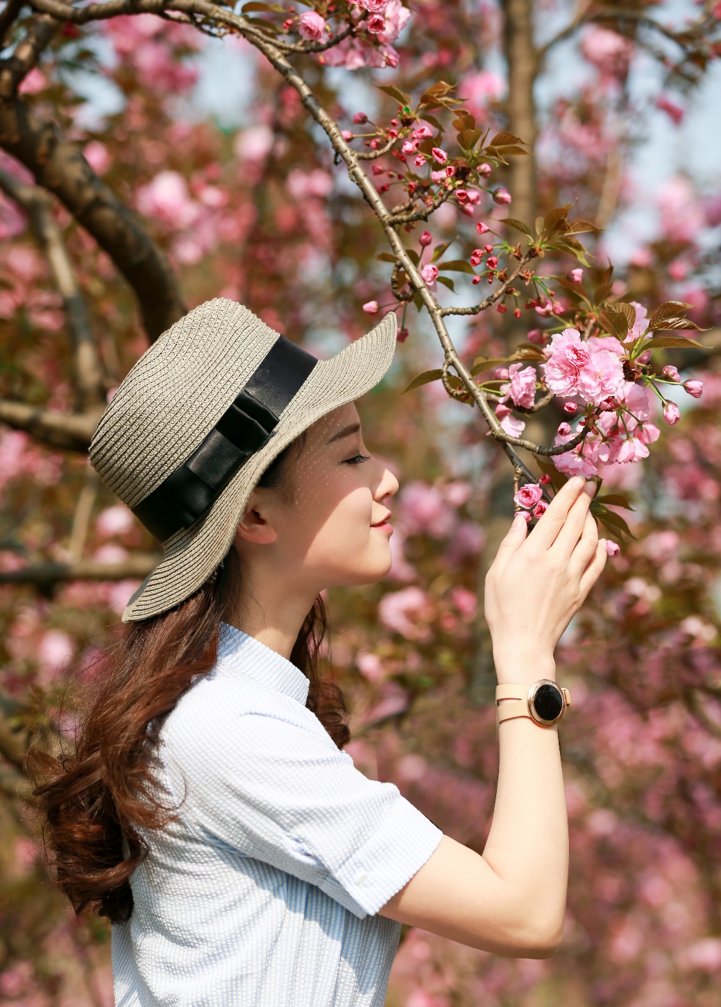 樱花树下的美女名句图片